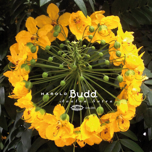 Harold Budd - Avalon Sutra [2 LP]