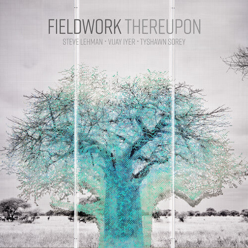 Travail sur le terrain - Puis